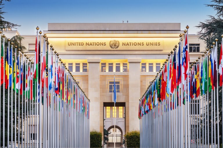 The United Nations